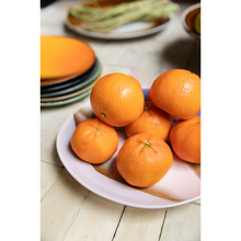 Load image into Gallery viewer, 70s Ceramics: Dessert Plate, valley (set van 2)