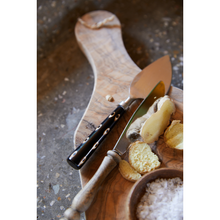 Load image into Gallery viewer, Cheese Knives Coast (Set of 3)