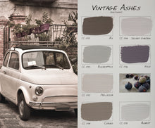 Load image into Gallery viewer, Carte Colori Chalk Paint Eucalyptus

