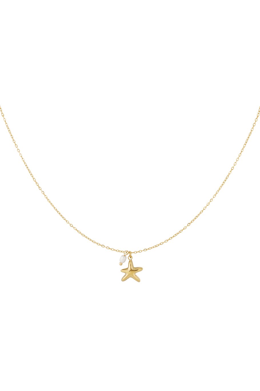 Zeester ketting - Verschillende Kleuren