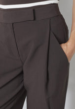 Load image into Gallery viewer, Vola Carrot Pleated Broek
