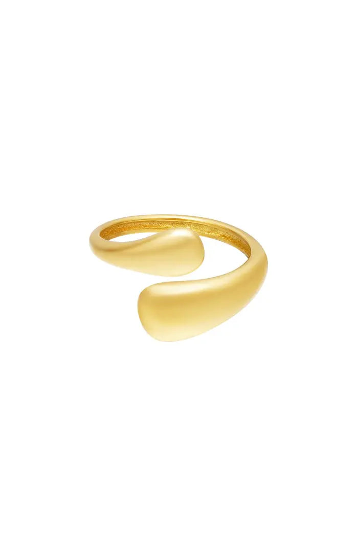 Tweekleurige roestvrijstalen ring Ring Goud