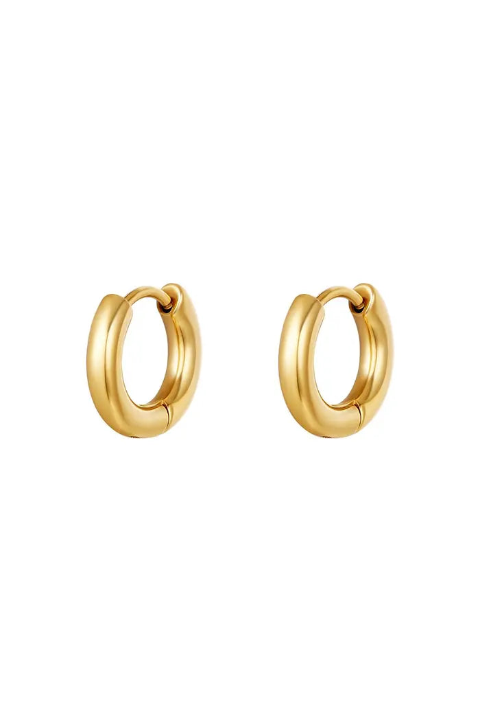 Basic hoop earrings Gold, Silver