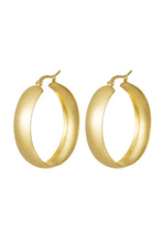 Load image into Gallery viewer, Earrings stainless steel chic Gold
