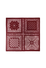 Load image into Gallery viewer, Wintersjaals Met Paisley-Patroon - Verschillende Kleuren
