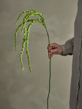 Afbeelding in Gallery-weergave laden, Foxtail Stem, Green, Artificial Bloem
