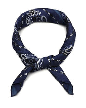 Afbeelding in Gallery-weergave laden, Zijdezachte Sjaaltje - Verschillende Kleuren
