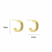 Load image into Gallery viewer, Hoop earrings Gold, Silver
