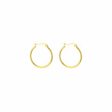 Load image into Gallery viewer, Hoops Oorbellen - Verschillende Kleuren
