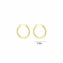 Load image into Gallery viewer, Hoops Oorbellen - Verschillende Kleuren
