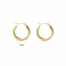 Afbeelding in Gallery-weergave laden, Twisted Hoop - Verschillende Kleuren
