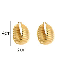 Load image into Gallery viewer, Chique Hoop Oorbellen M / Creolen - Verschillende Kleuren
