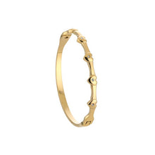 Load image into Gallery viewer, Hartjes Bangle
