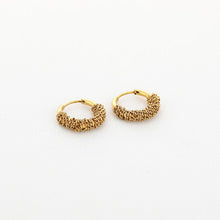 Load image into Gallery viewer, Hoop oorbellen - Creolen - Verschillende Kleuren
