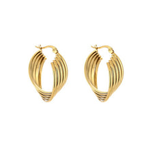 Afbeelding in Gallery-weergave laden, Twisted Hoops - Verschillende Kleuren
