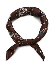 Afbeelding in Gallery-weergave laden, Zijdezachte Sjaaltje - Verschillende Kleuren
