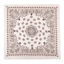 Afbeelding in Gallery-weergave laden, Sjaal paisley - verschillende kleuren
