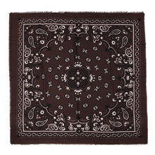 Afbeelding in Gallery-weergave laden, Sjaal paisley - verschillende kleuren
