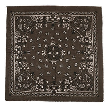 Afbeelding in Gallery-weergave laden, Sjaal paisley - verschillende kleuren
