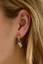 Load image into Gallery viewer, Oorbellen met Hartjes
