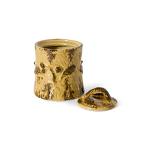 Load image into Gallery viewer, 70s Ceramics: Storage Jar, Cove

