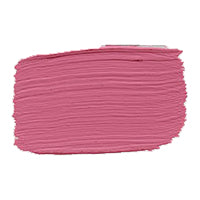 Carte Colori Zijdemat Lakverf Pink